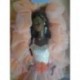 Barbie Christie bambola Fiori di pesco 1984
